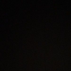 Meet your Posher, Dalia